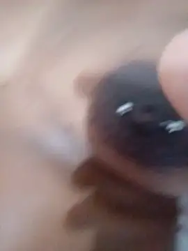 nessinha12 online show from November 10, 2025, 10:53 am