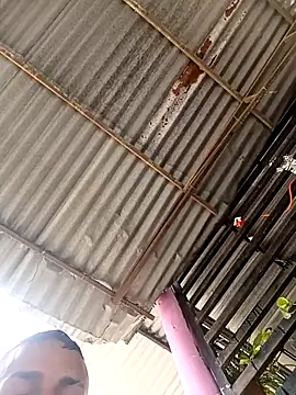 wwwww143 online show from November 21, 2025, 5:23 pm