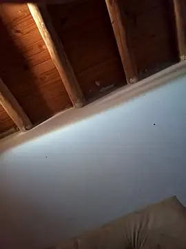 Rodriexequiel online show from November 15, 2025, 2:21 pm