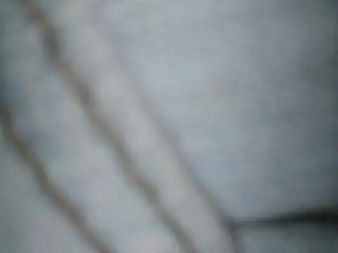 Ricotta1 online show from February 9, 2026, 10:57 am