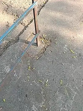 Mr xxx007xh online show from March 24, 2026, 9:53 am