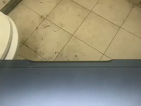 Snapshot of LustyDuoSecrets chatting on November 3, 2025, 4:32 pm LustyDuoSecrets online show from November 3, 2025, 4:32 pm