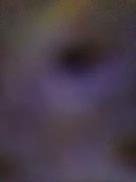 Snapshot of sadhna200 chatting on October 5, 2025, 6:42 pm sadhna200 online show from October 5, 2025, 6:42 pm