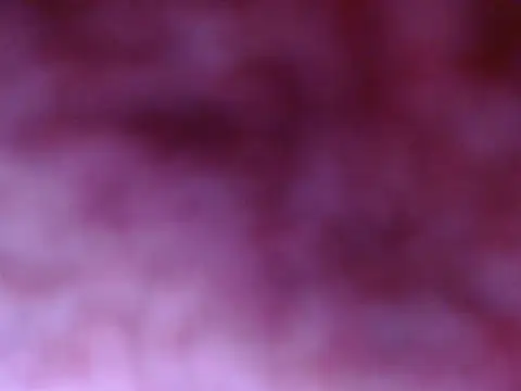 Your candy 47 online show from September 17, 2025, 1:24 pm