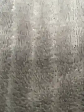 HeerStd online show from November 20, 2025, 4:46 am