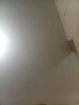 Bebicho14 online show from April 4, 2026, 5:47 am