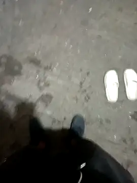 Bebicho14 online show from April 18, 2026, 4:15 am