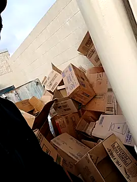 Dropdingo online show from November 23, 2025, 2:49 pm