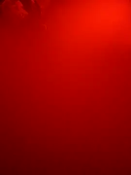 Dropdingo online show from October 9, 2025, 10:16 am