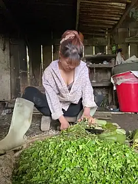 Mai bb online show from November 6, 2025, 7:45 am