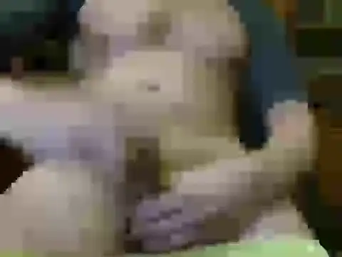 Snapshot of italian_max_sex chatting on November 21, 2025, 11:26 pm italian max sex online show from November 21, 2025, 11:26 pm