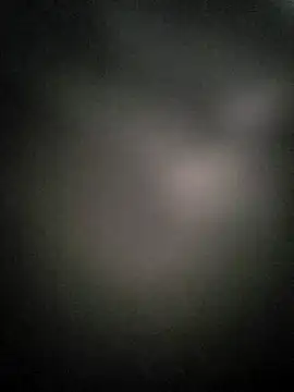 dogslavehf online show from September 22, 2025, 5:30 pm