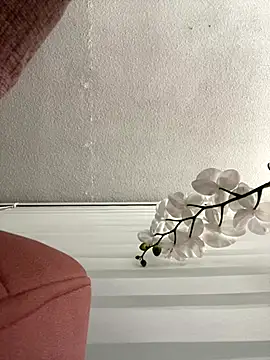 Adele Pinkk online show from November 3, 2025, 11:36 am