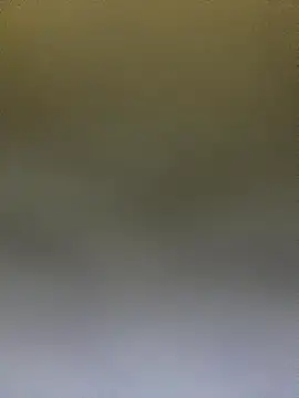 Adele Pinkk online show from October 14, 2025, 12:50 pm