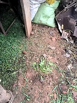 Shreyaaa 1 online show from February 3, 2026, 5:05 am