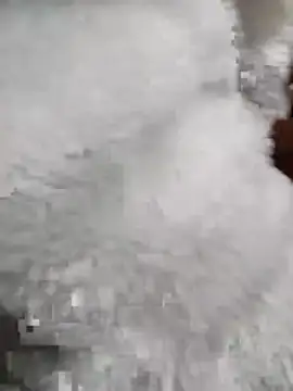 Tasu774 online show from November 26, 2025, 10:32 pm