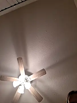 Mr nightfall online show from February 16, 2026, 2:54 am