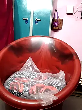 jothitelugu online show from December 19, 2025, 4:49 am