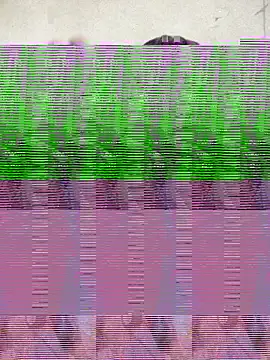 Silly Boy12 online show from November 6, 2025, 8:35 pm