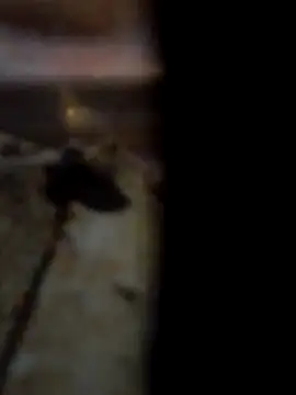 Snapshot of Bianomc1974 chatting on November 30, 2025, 4:19 pm Bianomc1974 online show from November 30, 2025, 4:19 pm