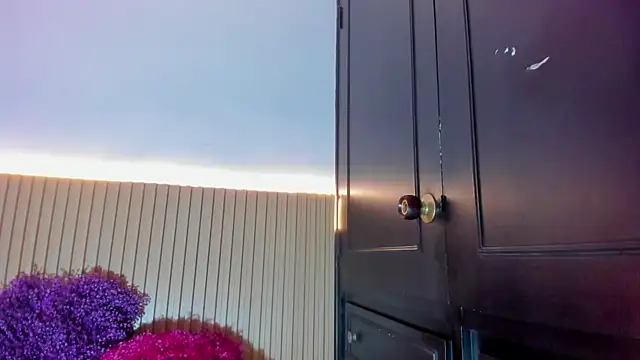 Snapshot of Alana_333 chatting on December 17, 2025, 11:59 am Alana 333 online show from December 17, 2025, 11:59 am