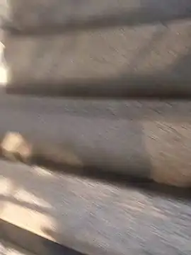 Bangladeshi Big male online show from September 29, 2025, 9:49 am