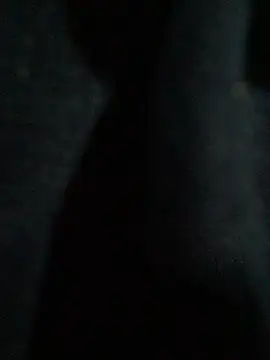 hmleonardo online show from April 15, 2026, 7:25 am