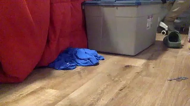 edger4lif3 online show from September 19, 2025, 4:33 pm