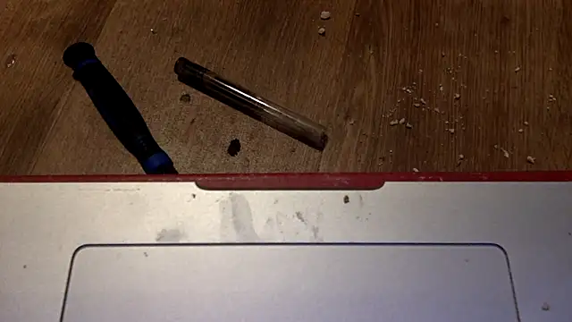 edger4lif3 online show from September 12, 2025, 5:24 pm