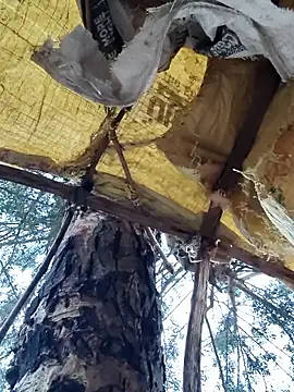 Janvi Jaitly online show from November 23, 2025, 1:15 am