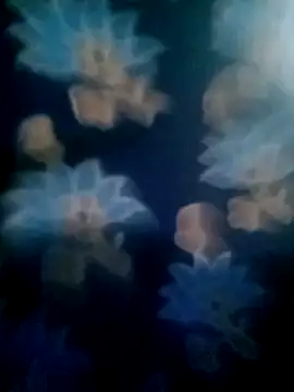 your favourite bhabhi online show from November 2, 2025, 1:49 pm