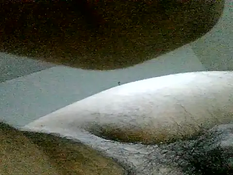 Snapshot of LuispingonX69 chatting on June 23, 2026, 6:11 am LuispingonX69 online show from June 23, 2026, 6:11 am