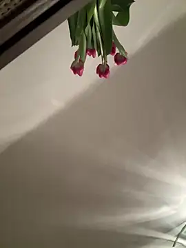 SophiiaStarr online show from February 7, 2026, 7:33 pm