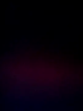 DanteWinter online show from November 12, 2025, 2:26 am