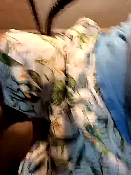 Gallo001 online show from December 16, 2025, 11:03 am