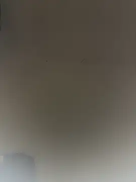 SLNatasha online show from February 28, 2026, 3:28 am