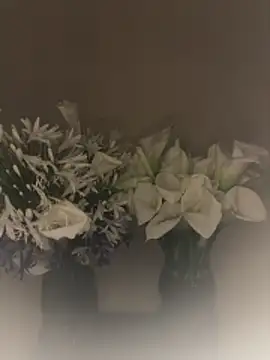 SLNatasha online show from March 1, 2026, 3:06 am