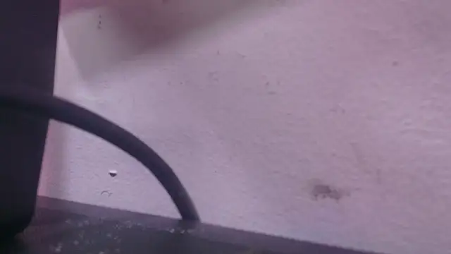 abbyrouss  online show from October 7, 2025, 2:56 am