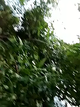 Snapshot of -Xuka-200 chatting on October 20, 2025, 9:54 am -Xuka-200 online show from October 20, 2025, 9:54 am