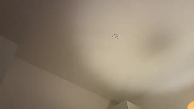 Swedishfish69 online show from February 8, 2026, 4:37 pm