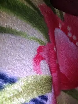 Chanderi19 online show from March 14, 2026, 6:58 pm