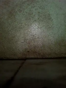 theindianjason online show from October 1, 2025, 1:55 am