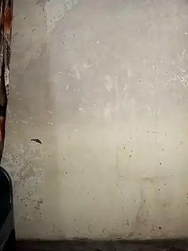 Gracie Stella online show from October 11, 2025, 6:36 am