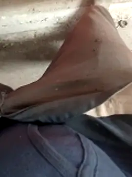 haryanaboypanipat12 online show from April 11, 2026, 7:56 am