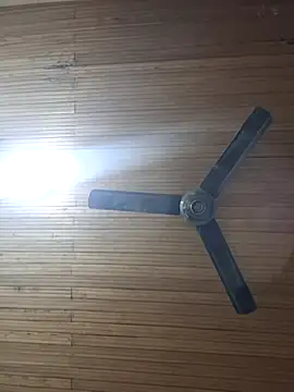 Chloe y Dante online show from November 24, 2025, 5:07 am