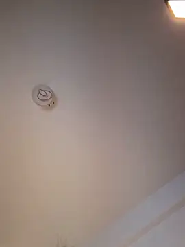 Andrestarr online show from March 11, 2026, 6:46 pm