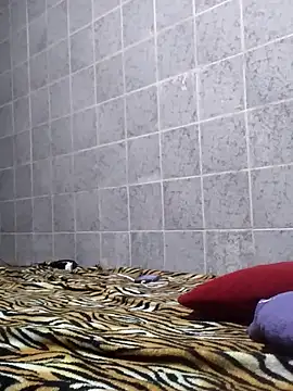 Cachorrinha2025 online show from November 12, 2025, 1:43 am