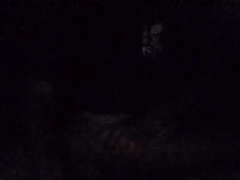 vikranthLong online show from October 19, 2025, 5:05 pm