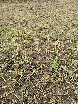 karandeep Bhagat online show from March 26, 2026, 10:46 am