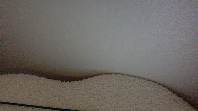 Texxaspearl online show from March 31, 2026, 12:51 pm